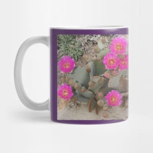 Beavertail cactus, nature, gifts, Desert Beauty Mug